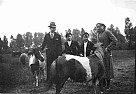 272 - Hellenraad 1931 met pony’s