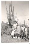 781 - Fim da estação seca 1953 no Cunucu