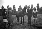 273 - Hellenraad 1931 met pony’s