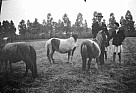 274 - Hellenraad 1931 met pony’s