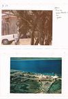 753 - Bonaire Feb 1984 09